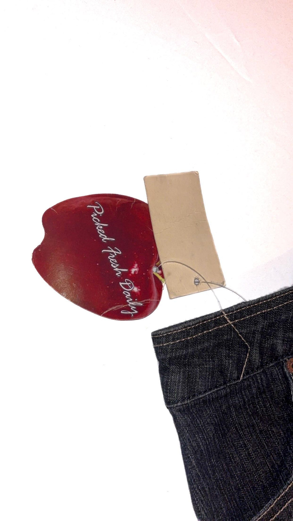 Apple Bottoms by Nelly Denim Mini Skirt – Size 7, New With Tags